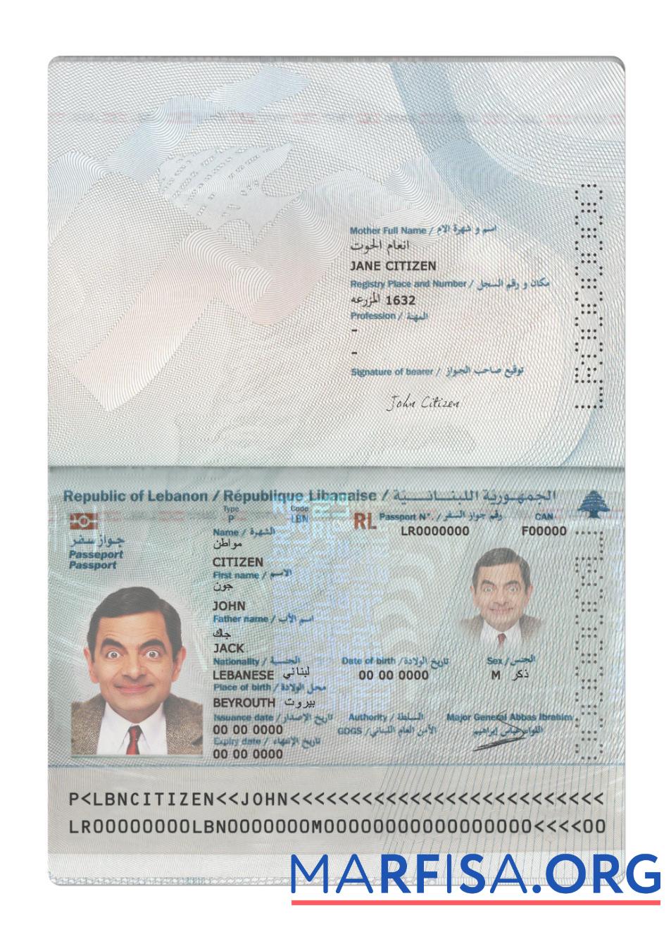 Blank Lebanon passport 2022 present template